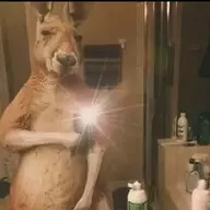 Talented Stalker 56