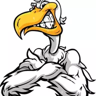 Thewildpelican