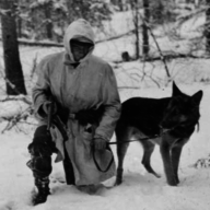 Knut