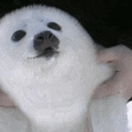 McLolington