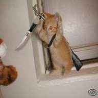 ParkourKitten91