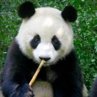 Panda Poison