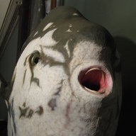 A Useless Fish