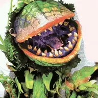 Carnivorous Plant