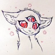 Simple Midnight Fox