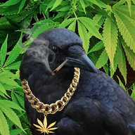 Stone the Crows