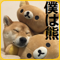 Boku-wa-Kuma