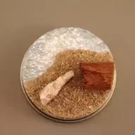 RaptInPlastic
