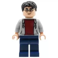 The Boy Who Lived