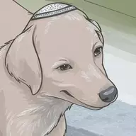 Idonotcareabout