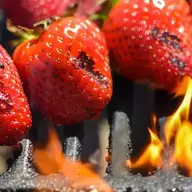 Seared Strawberry