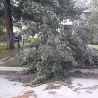 BackyardTornado