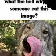 Dickbucketz 117