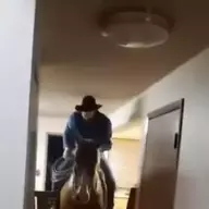 Optimus Crime
