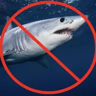 Shark Genocide Advocate