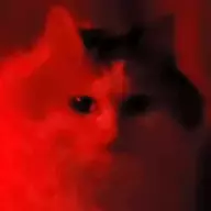 skunga dot cum