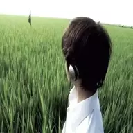 slzt.fac3