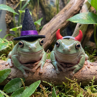 Two Frogs