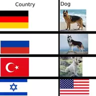 Sodiumaryan
