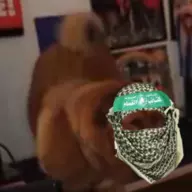 gazan biker