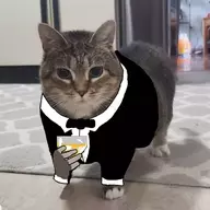 crazycatgentleman