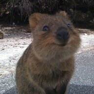 QuokkaCaptain