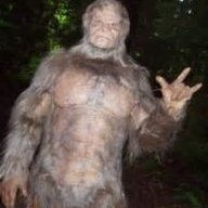 snugsquatch