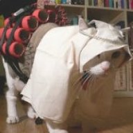 armoreddinnerjacket