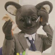 Executive Koala
