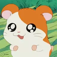 hamsterlover98