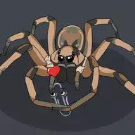 Lycosidae