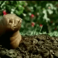 Sad and Lonely Earthworm