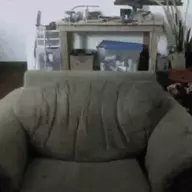 DeadBogChair