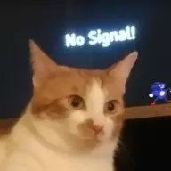 noonnoodle