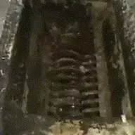 Meat Grinder