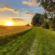 Countryside