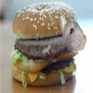 RatBurgers