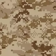 AOR1