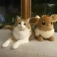 motherfluffer