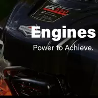 Briggs & Stratton