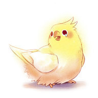 flyingbirds