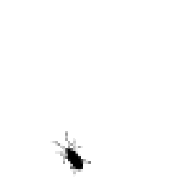 Xetzyr