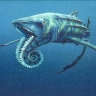 BuzzsawShark