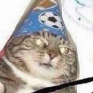 bigfatfuckingboy