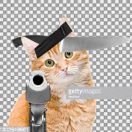 Knifeguncat