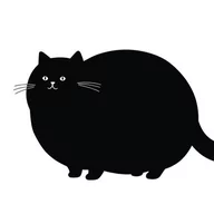 Big Black Cat Lover
