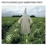 AGaggleOfFaggles