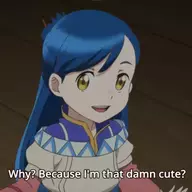 theanimecompletionist