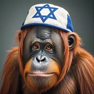 Slightly Jewish Orangutan