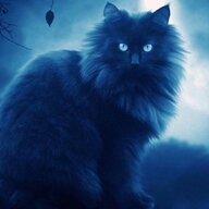 Gracie's Ghost